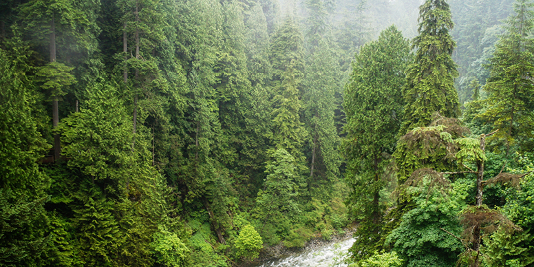 À l’heure où la pression des activités humaines sur la nature ne cesse de s’accroître, de plus en plus d’investisseurs utilisent leur portefeuille pour faire changer les choses. 