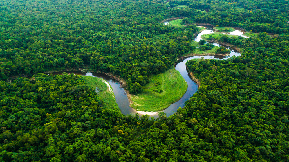 Vue aérienne d’une rivière qui traverse la forêt boréale canadienne 