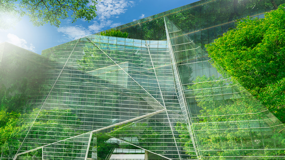 Vue de la réflexion de plusieurs arbres sur un bâtiment en verre.