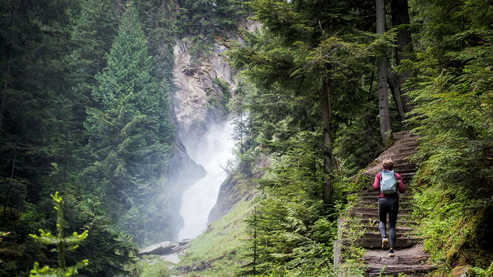 Randonneuse montant les escaliers dans une forêt tout en admirant une cascade.