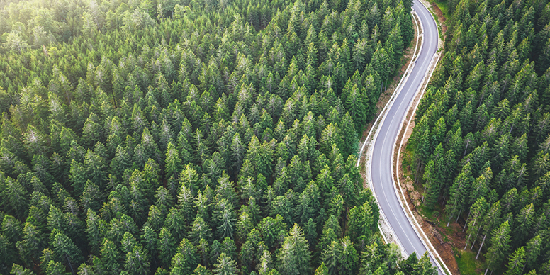 Une route sinueuse traversant un paysage verdoyant.