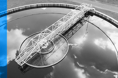 Gros plan sur les graphiques des cours boursiers sur un écran d’ordinateur.