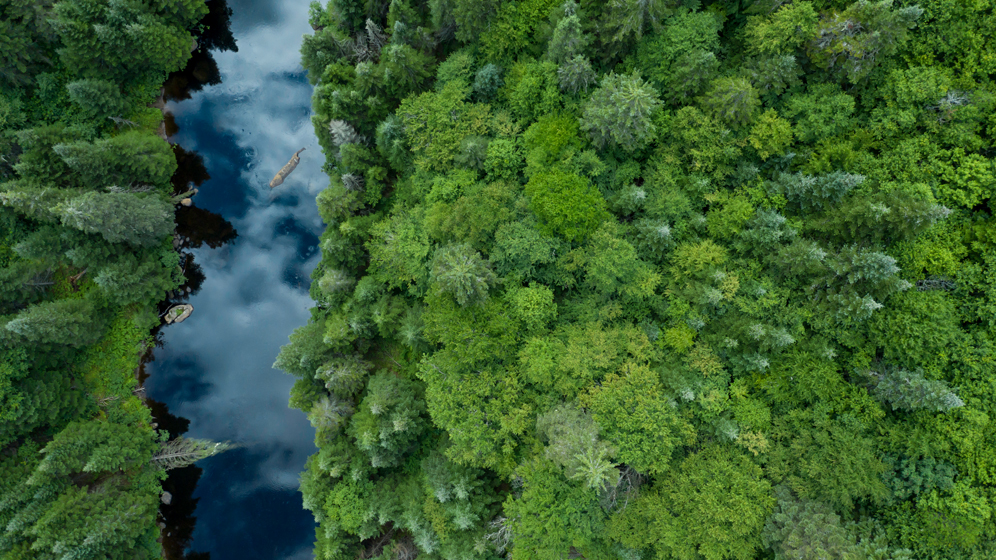 Vue aérienne d’une rivière qui traverse la forêt boréale canadienne 